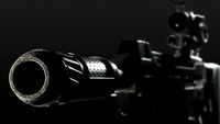 Mashinegun shot gun