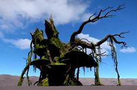 Ancient Tree V19