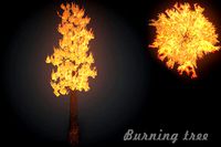 Burning tree big