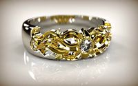 Ring 0116 | 3D