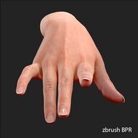 Realistic Female Hand
