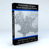 Montevideo Road Network and Streets