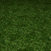 ground grass tile 3