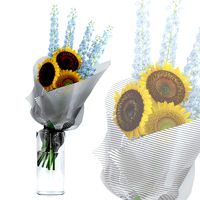 Sunflowers and Delphinium