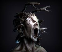 Medusa Bust