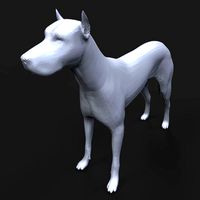 Doberman Pinscher | 3D