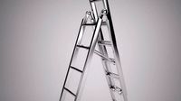 Reform Ladder