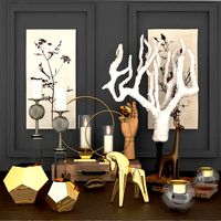 decorative set Coral