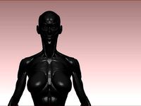 female anathomy | 3D