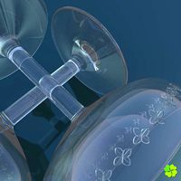 Classic glass engraved of champagne low poly