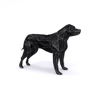 Pitbull low poly