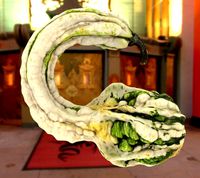 dekoration pumpkin photogrammetry