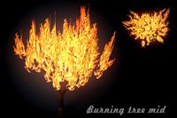 Burning tree mid