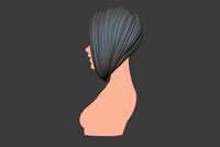 Female Hair 7 | 3D