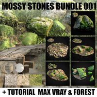 mossy stones bundle 001