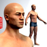 Average Male Body