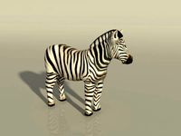 Zebra - Editable Free