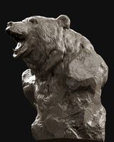 Bear  Grin  Bust | 3D