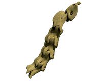 Animal Neck Cervicale