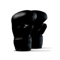 Boxing Gloves