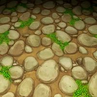 ground stone grass tile 1