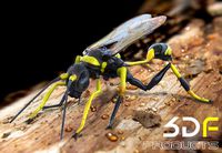 Wasp Insects 