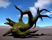 Ancient Tree V13