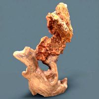 Orange Wood Rock