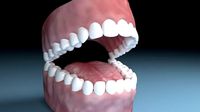 Teeth Tongue Mouth Interior