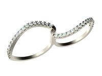 Ring 0101 | 3D