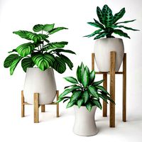 Plant Set 2