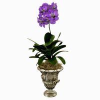 Orchid Vanda flower vintage vase