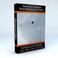 Asuncion Road Network and Streets