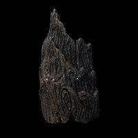 Wristband Corona render scene and Substance Painter files