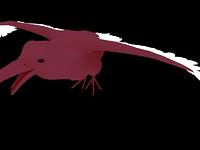 Raven