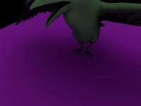 Raven