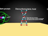 Macromolecules test