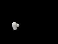 uvula