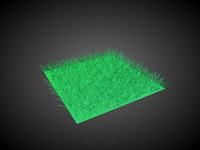Dense Grass