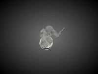 MTV Moonman