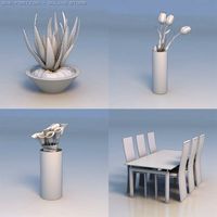 Flowers accessories dining table 3D Model