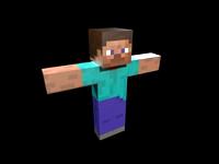 Steve Rig Test