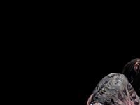 Gears of War 3 - Lambent Female