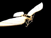 Leonardo Da Vinci - Flying Machine