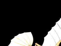 Leonardo Da Vinci - Flying Machine