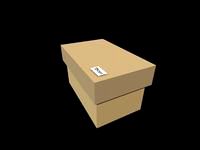 The Shoebox