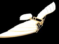 Leonardo Da Vinci - Flying Machine