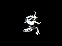 Webinar - Clumsy Dragon