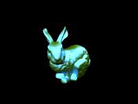 Webinar - Bunny
