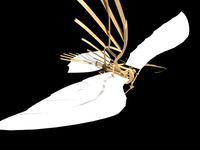 lolololoolololoollollololololololooplololololololololololololololoolloolo